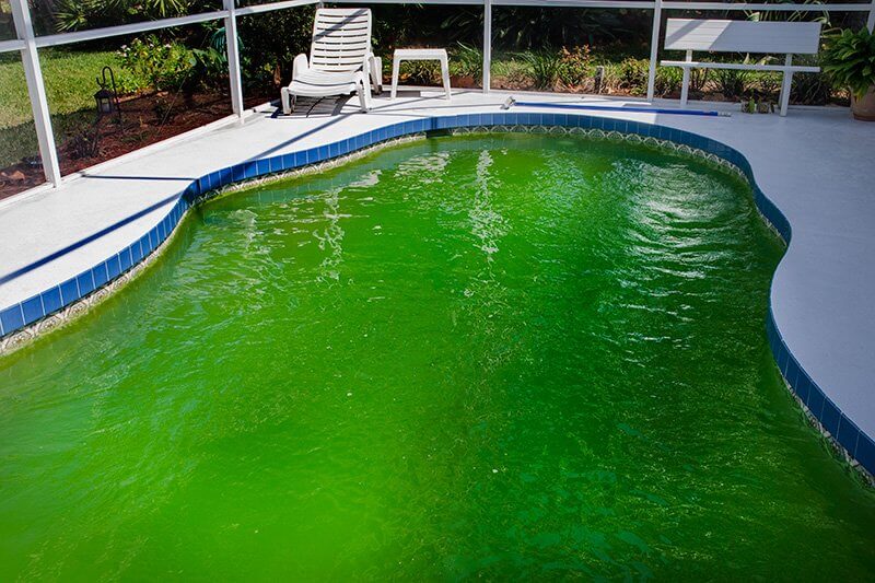 Easy instructions on fixing a Green Swimming Pool