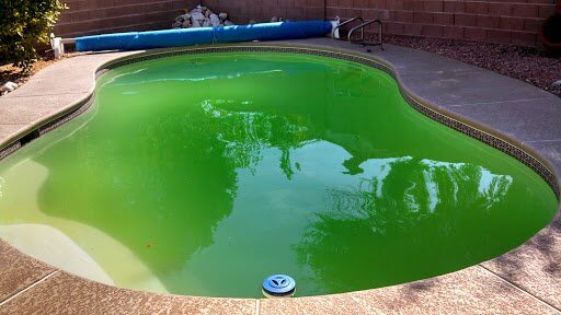 green pool clean up